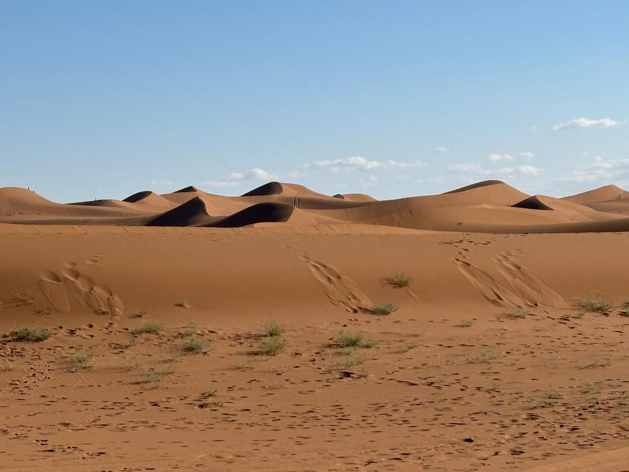 Bivouac La Dune Blanche M'Hamid Εξωτερικό φωτογραφία